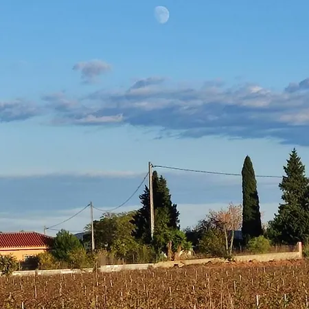 Chateau Angelique Montroy